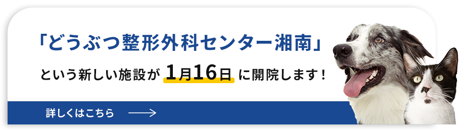 どうぶつ整形外科センター湘南
