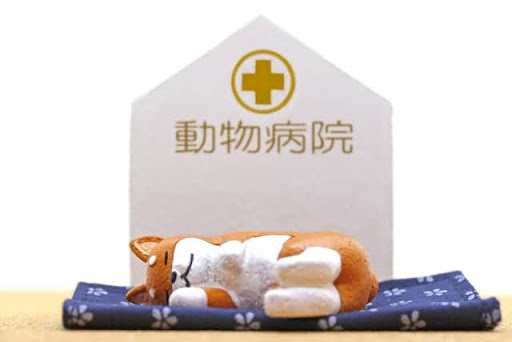 動物病院と犬の置き物